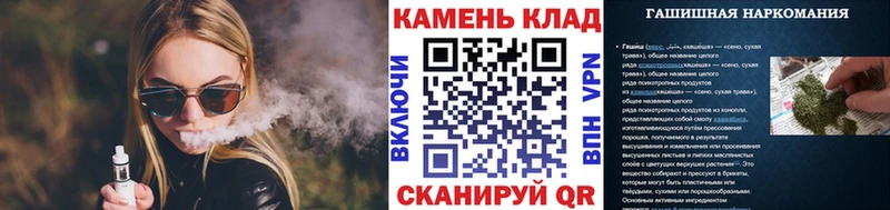 купить   Сегежа  ГАШ гарик 