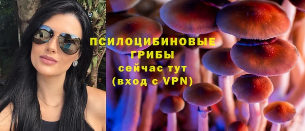дурь Балахна