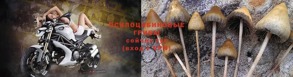 дурь Балахна