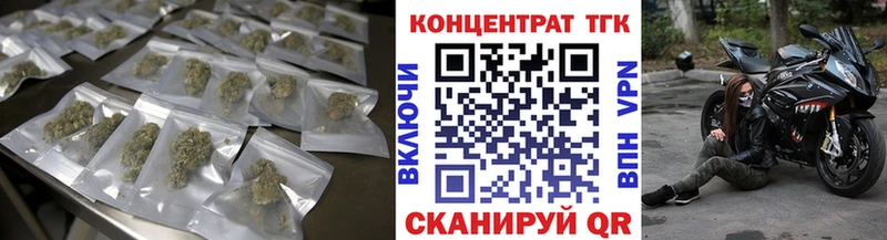 что такое Сегежа ТГК концентрат