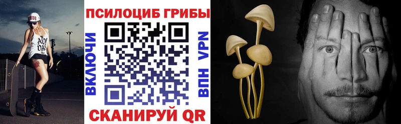 Псилоцибиновые грибы GOLDEN TEACHER  Сегежа 