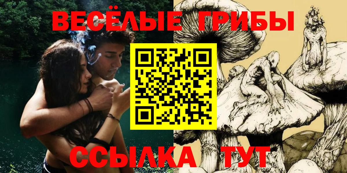 Галлюциногенные грибы Cubensis Сегежа