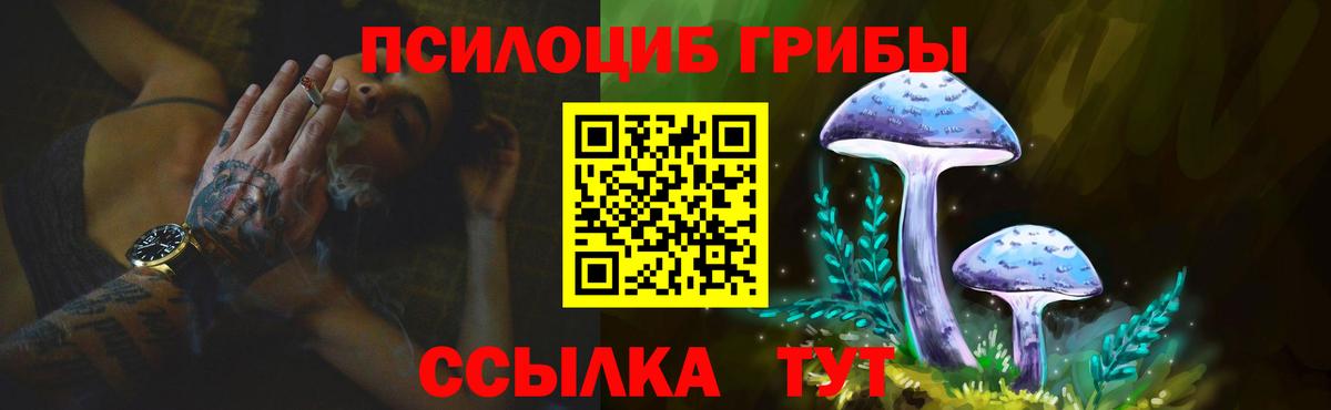 Псилоцибиновые грибы Psilocybe  Вход с VPN  Псилоцибиновые грибы мицелий  купить  цена  Сегежа 